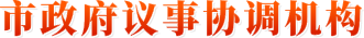 市政府议事协调机构